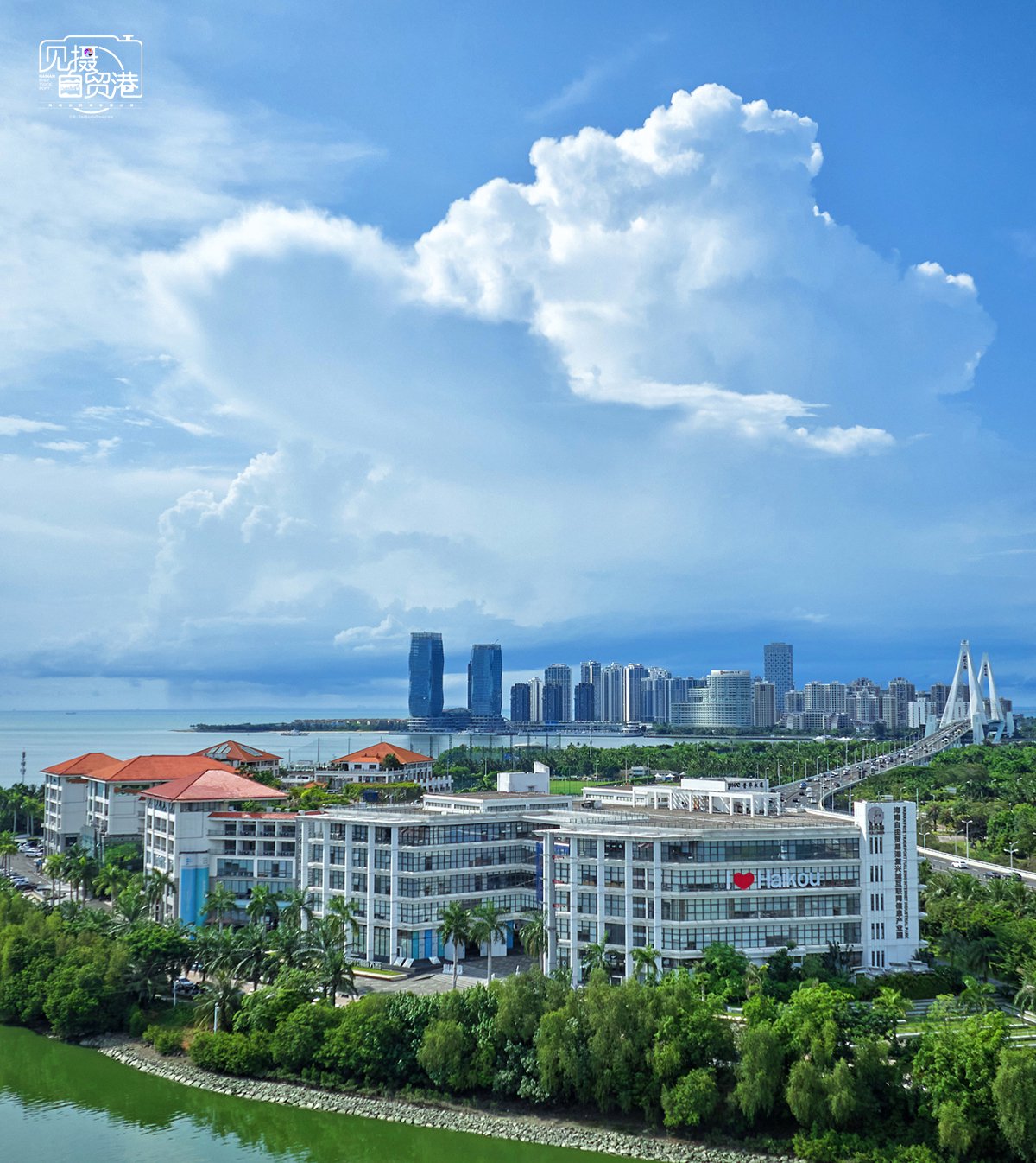 海南AEO企业数量激增146% 自贸港建设注入强劲新动力，海口企业凸显引领效应